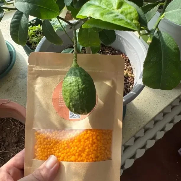 粗跟粗壮肥料效果快水溶型好爱种花通用肥料营养液200克