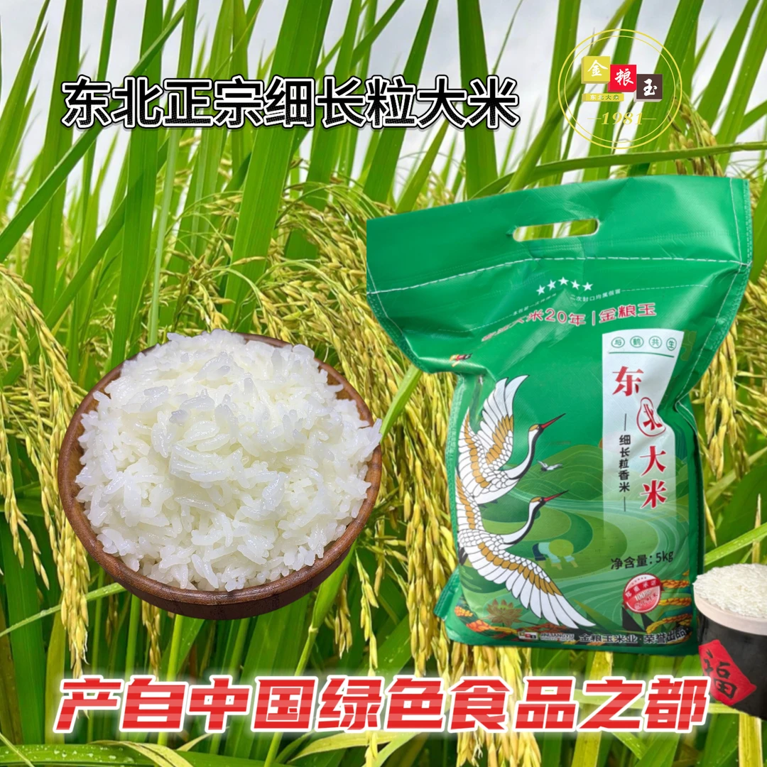 金粮玉正宗东北高品质细长粒大米  江水灌溉 工厂直发 家庭装10斤