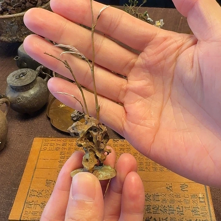 月拾伍纯手工竹子香插