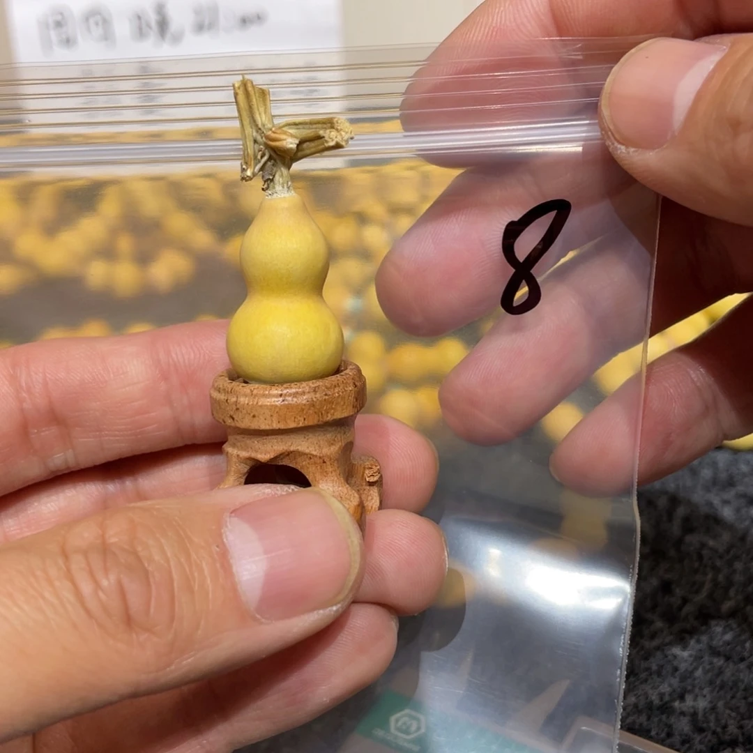 W葫芦葫芦葫芦葫芦8号