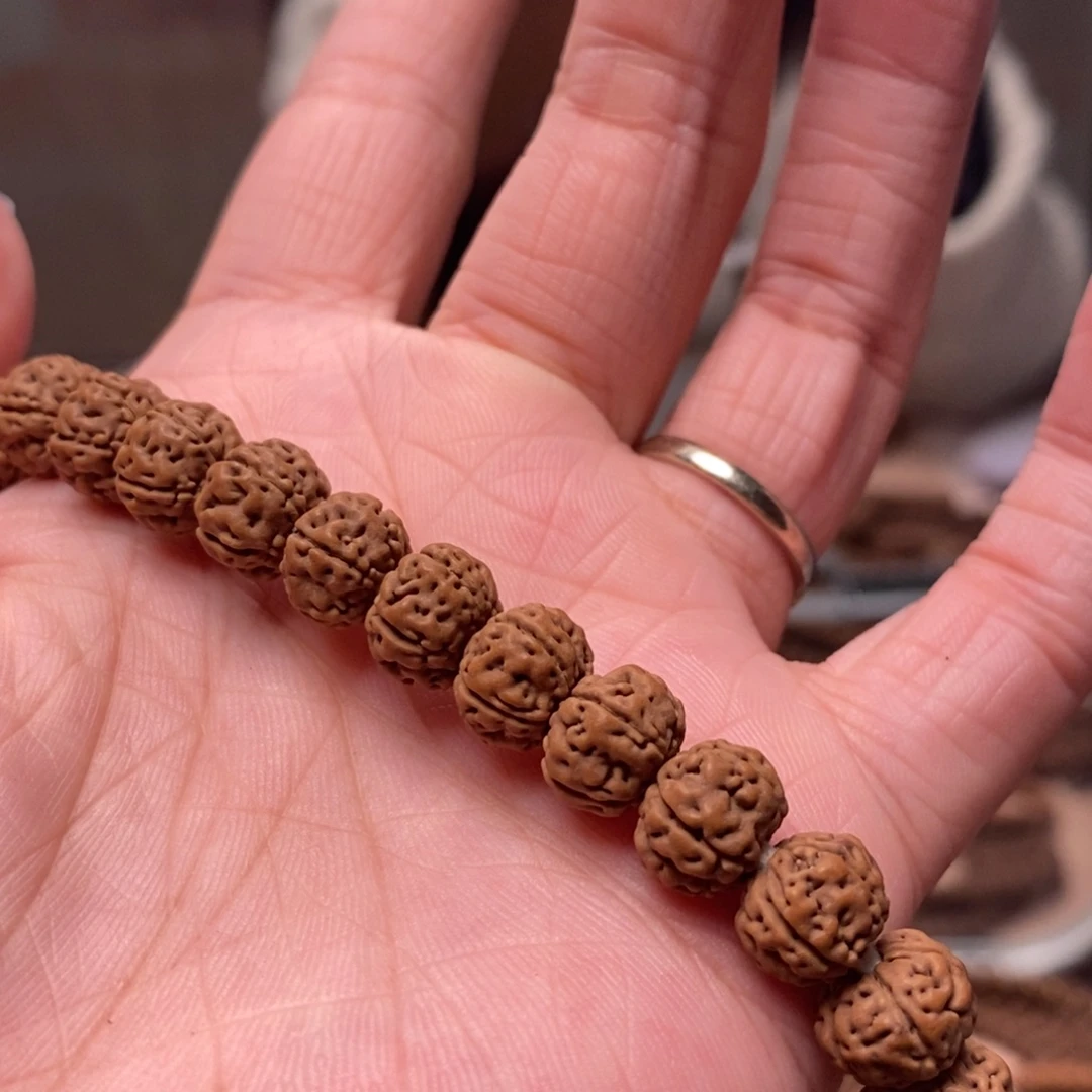 知***追菩提籽类老树王长串