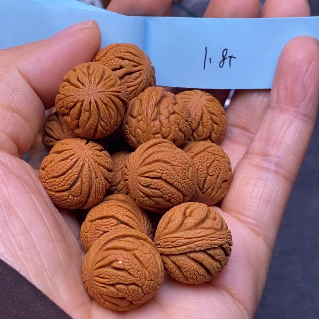 秦岭龙纹桃核14颗