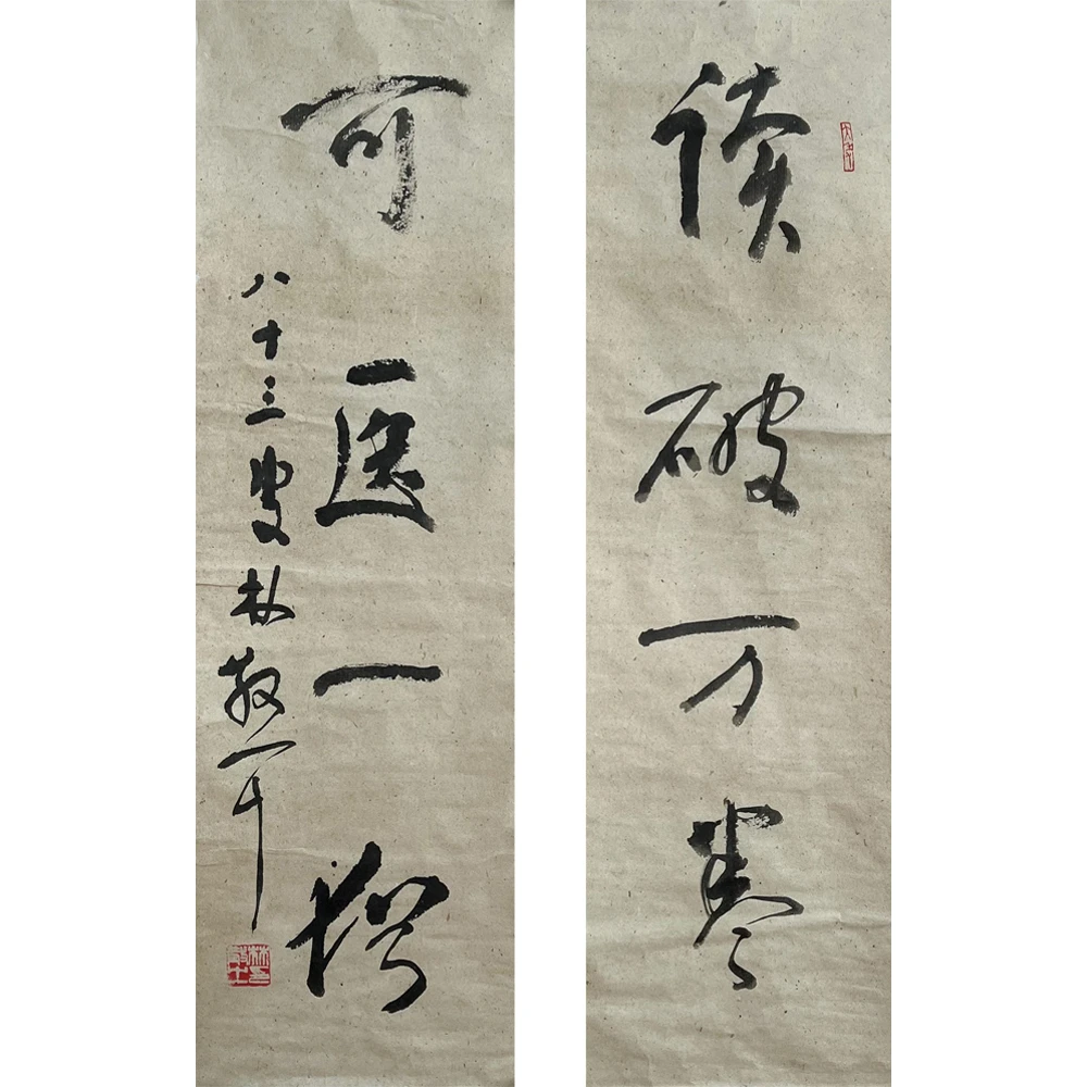 【辽拍】林先生-书法对联（1.7平尺）