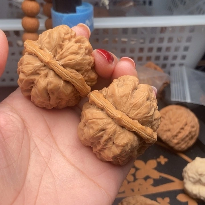 核桃假**忙43尺寸蛤蟆头