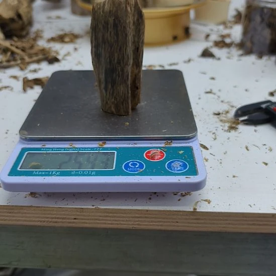 沉香沉香碎屑棋楠虫漏小料25克