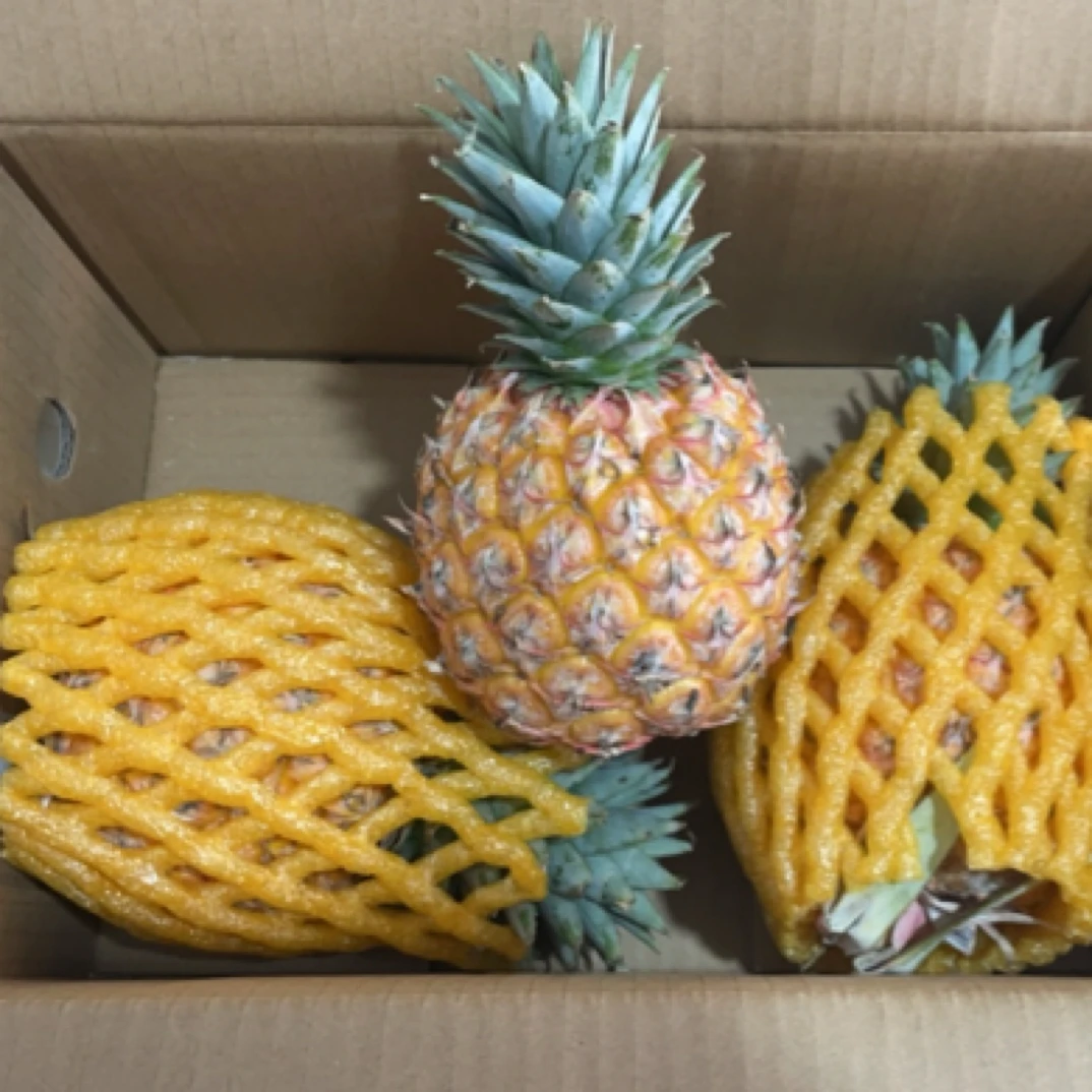 板正果业椰凤梨一箱 3 个
