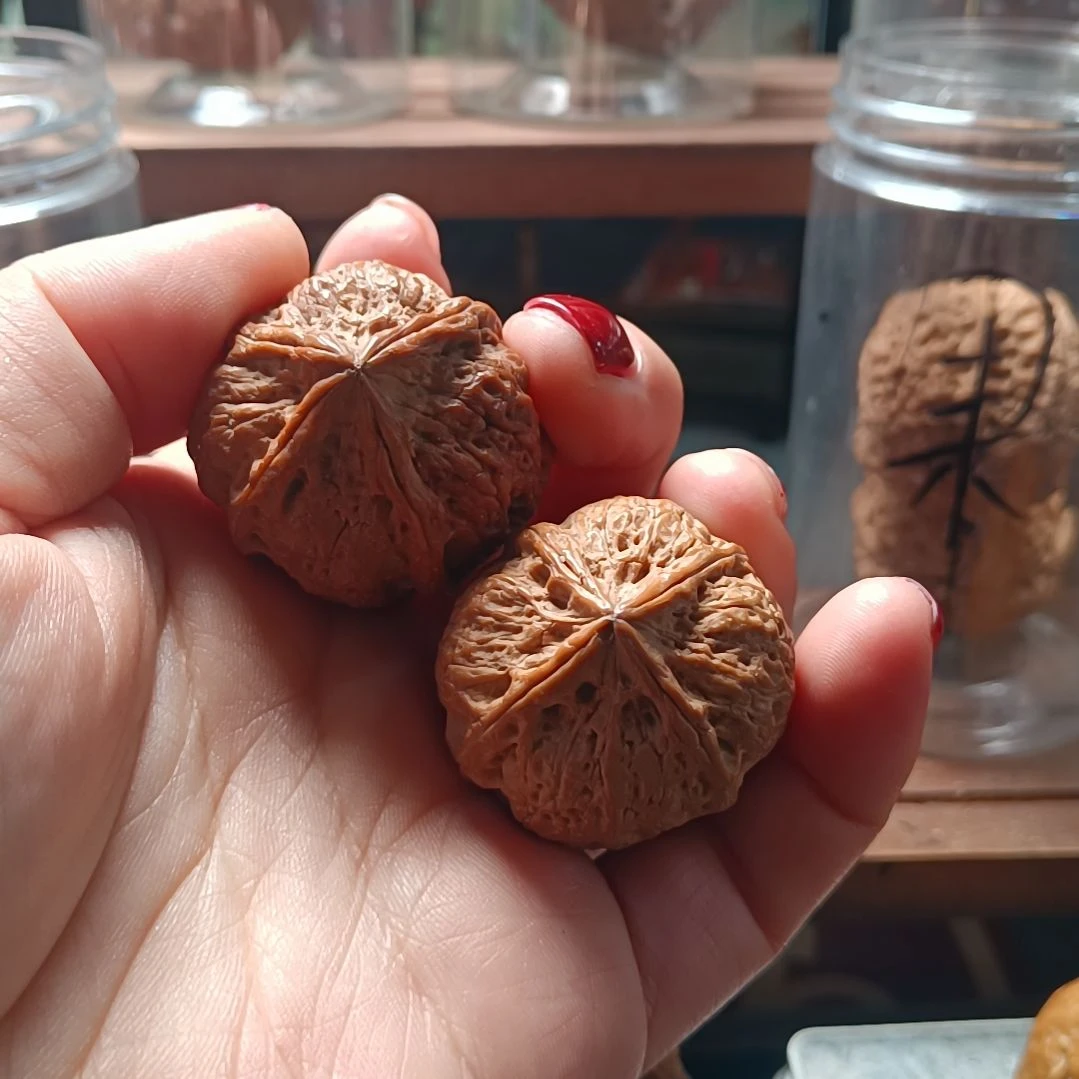 文玩核桃把件666666666666666666666