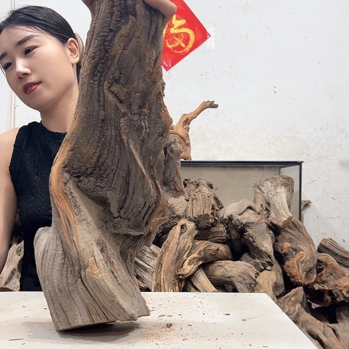 柏木用****9我们的生活也是