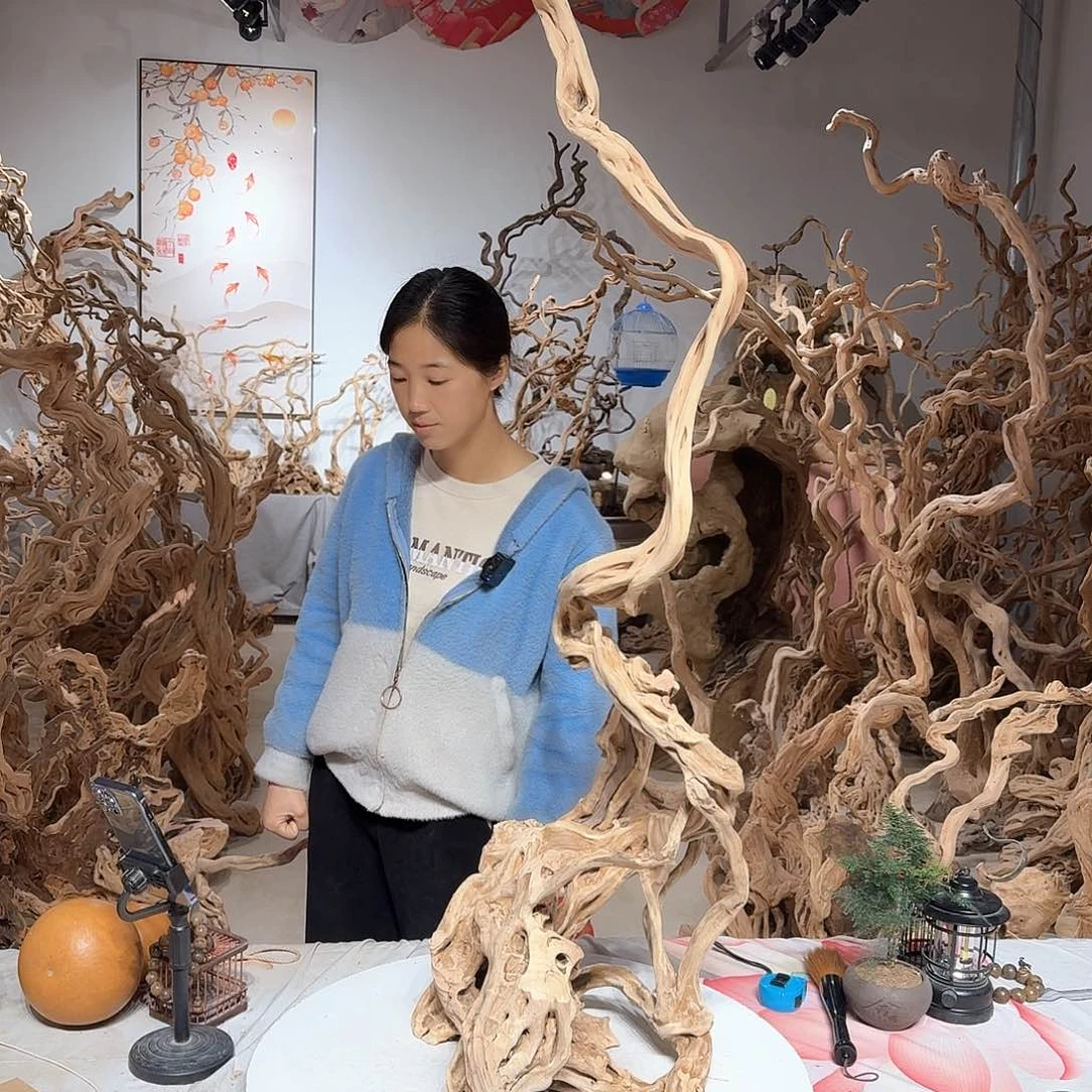 风车木（黑檀木）戈**狼