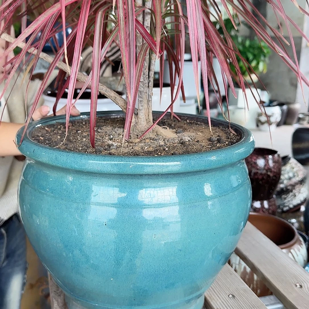 王嫂花盆0924-404高28口34有色差