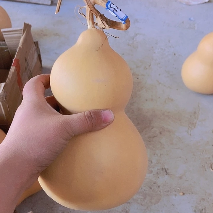 晴空宝子恭喜发财