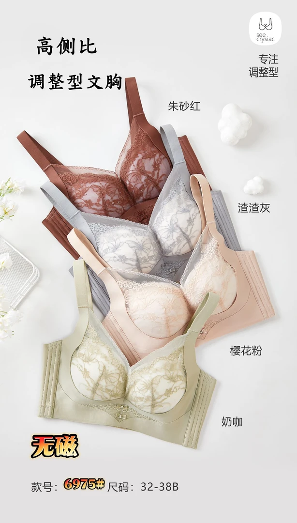 6975  韩系百搭舒适内衣（B杯） TZL