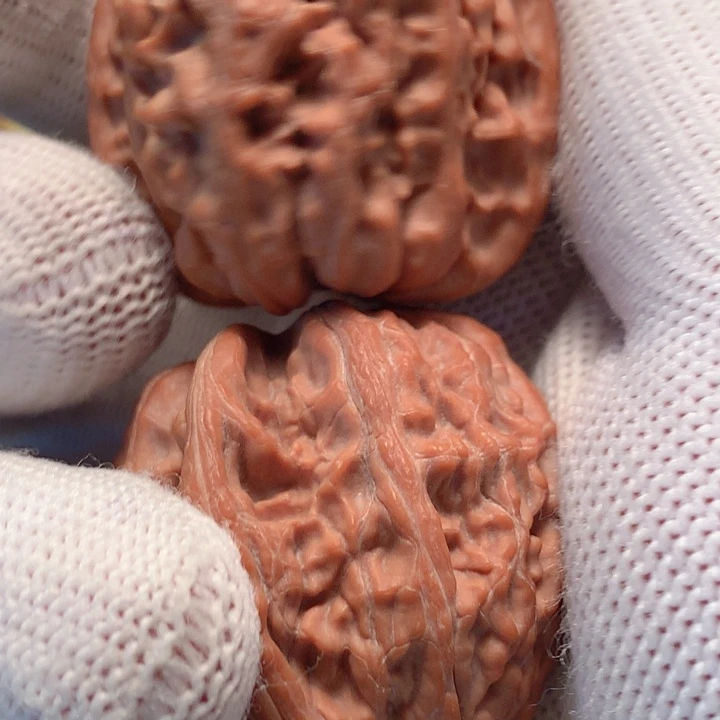 文玩核桃把件雪*蛛33野生石子磨无瑕疵不退