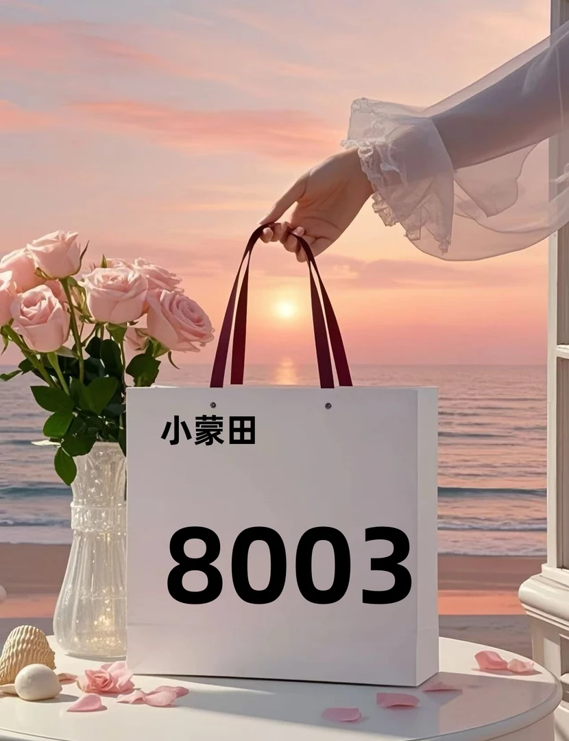 8003潮流新款【尺寸24*8.5*16】单肩斜小蒙田