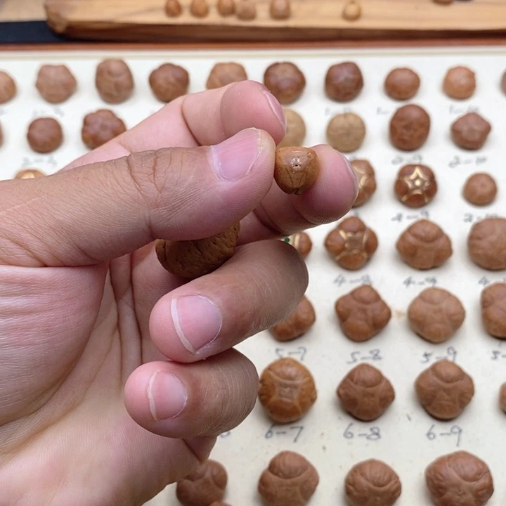 龙眼菩提吊坠唐*鸭龙塔