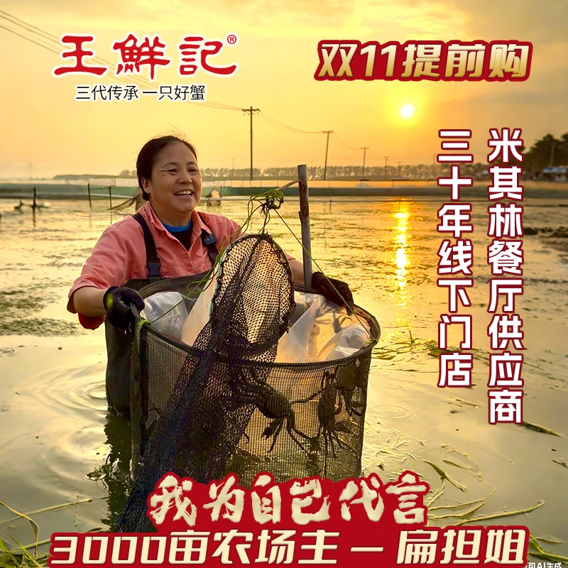 【活蟹礼盒】 王鲜记 母蟹3两买6只送2只到手8只江苏大闸蟹