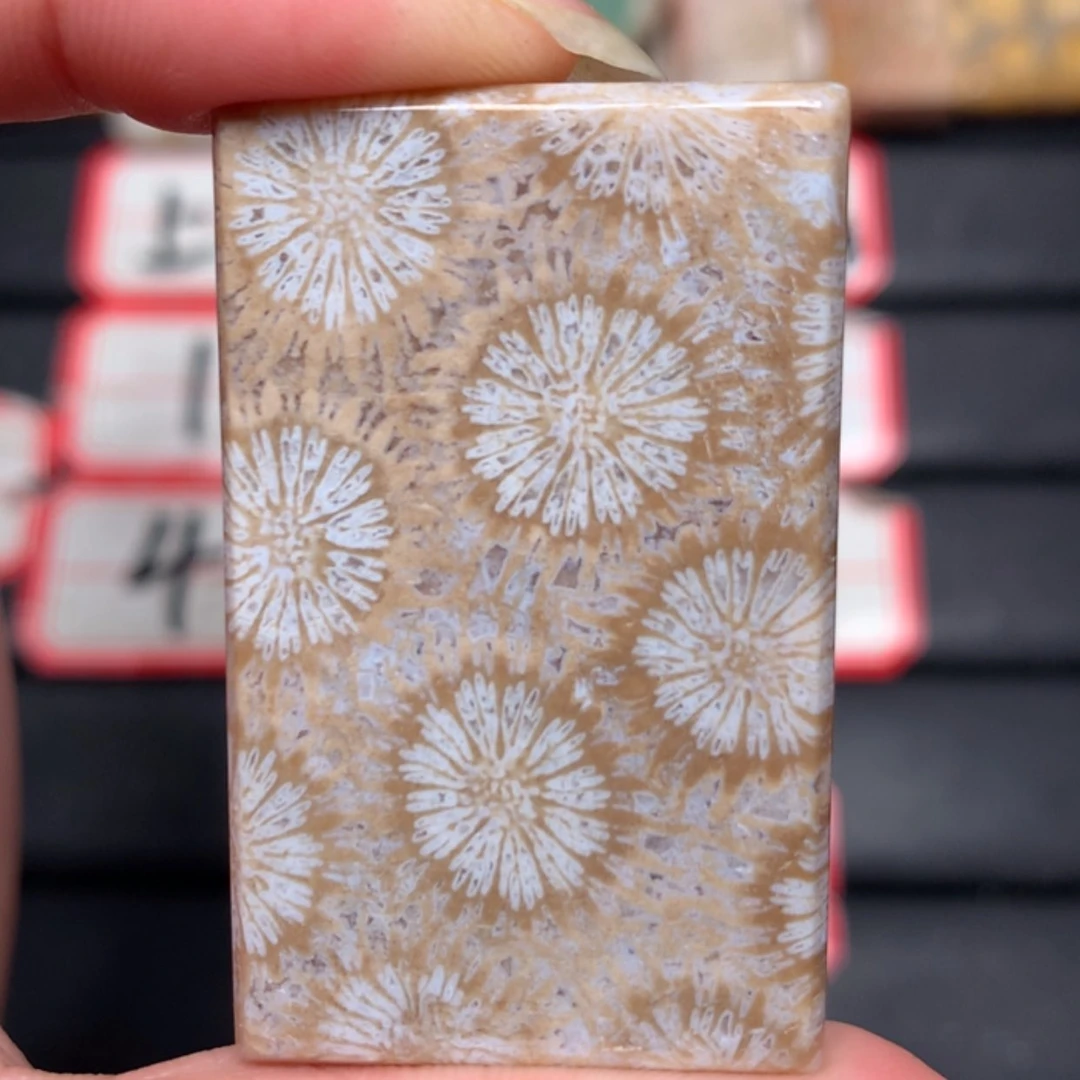 【闪购商品】硅化玉颈饰未镶嵌北*