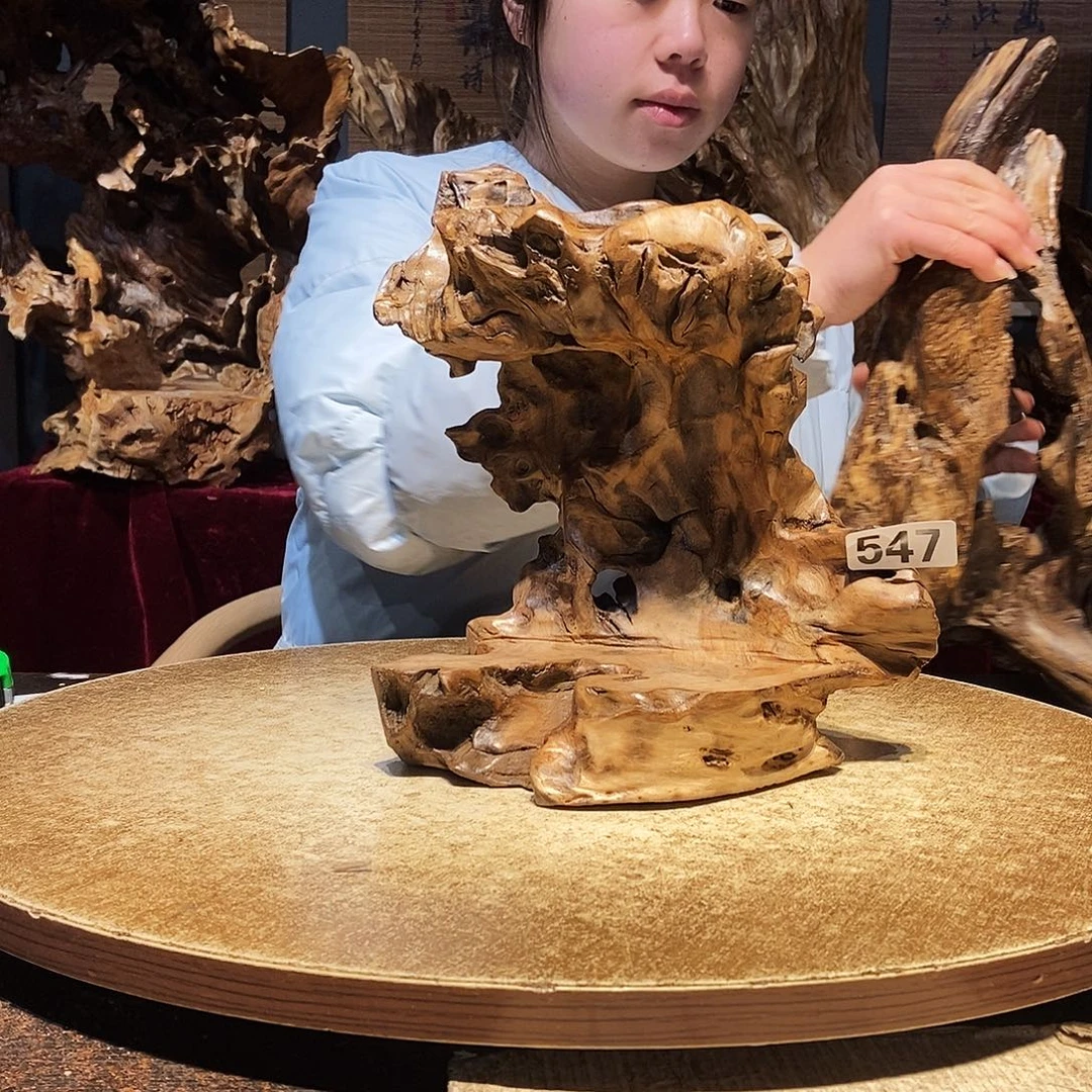 电***扇547株木随行的小根艺