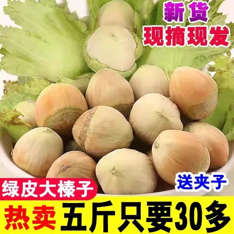 2024年新鲜野生大榛子东北辽宁带绿皮水仁水瓤桓仁去皮生榛子