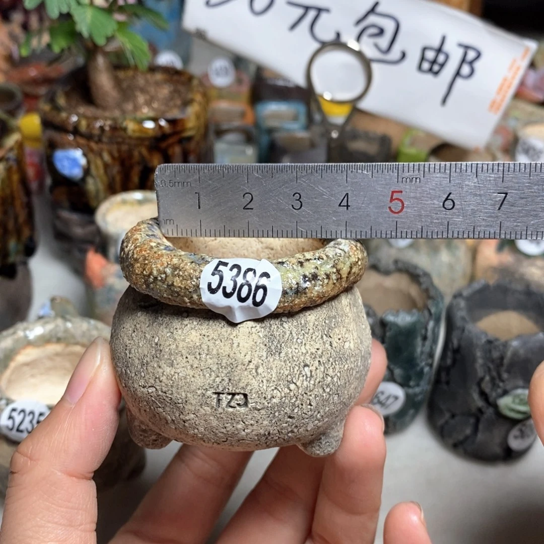 拍3送一个小礼物