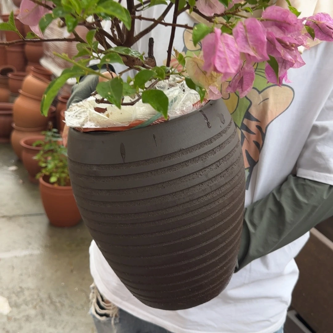 紫砂花盆口20高26宜兴紫砂
