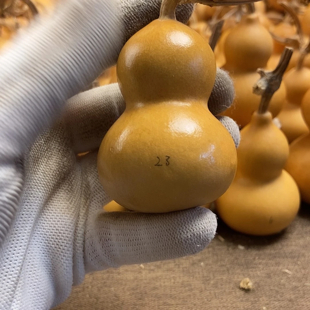 文玩葫芦 完美主义者 慎拍23