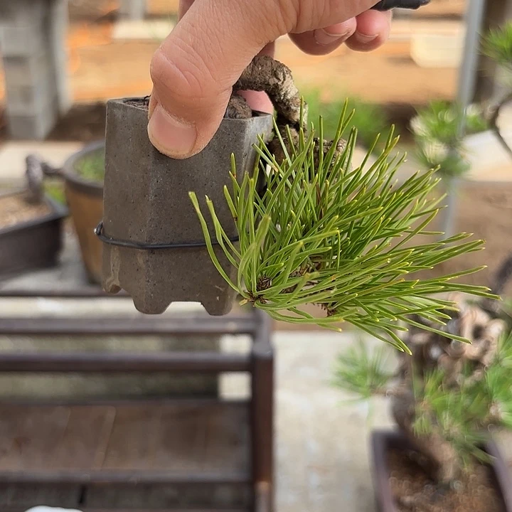 青***池琉璃手工艺品1111111