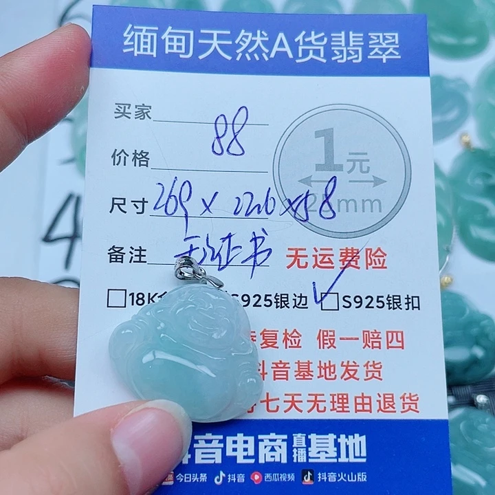 翡翠银S925镶嵌颈饰翡翠