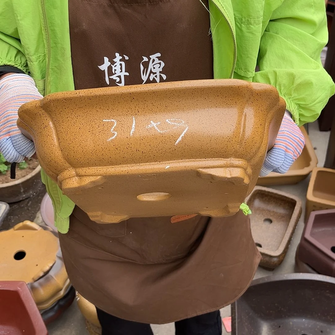 紫砂花盆盆景艺术