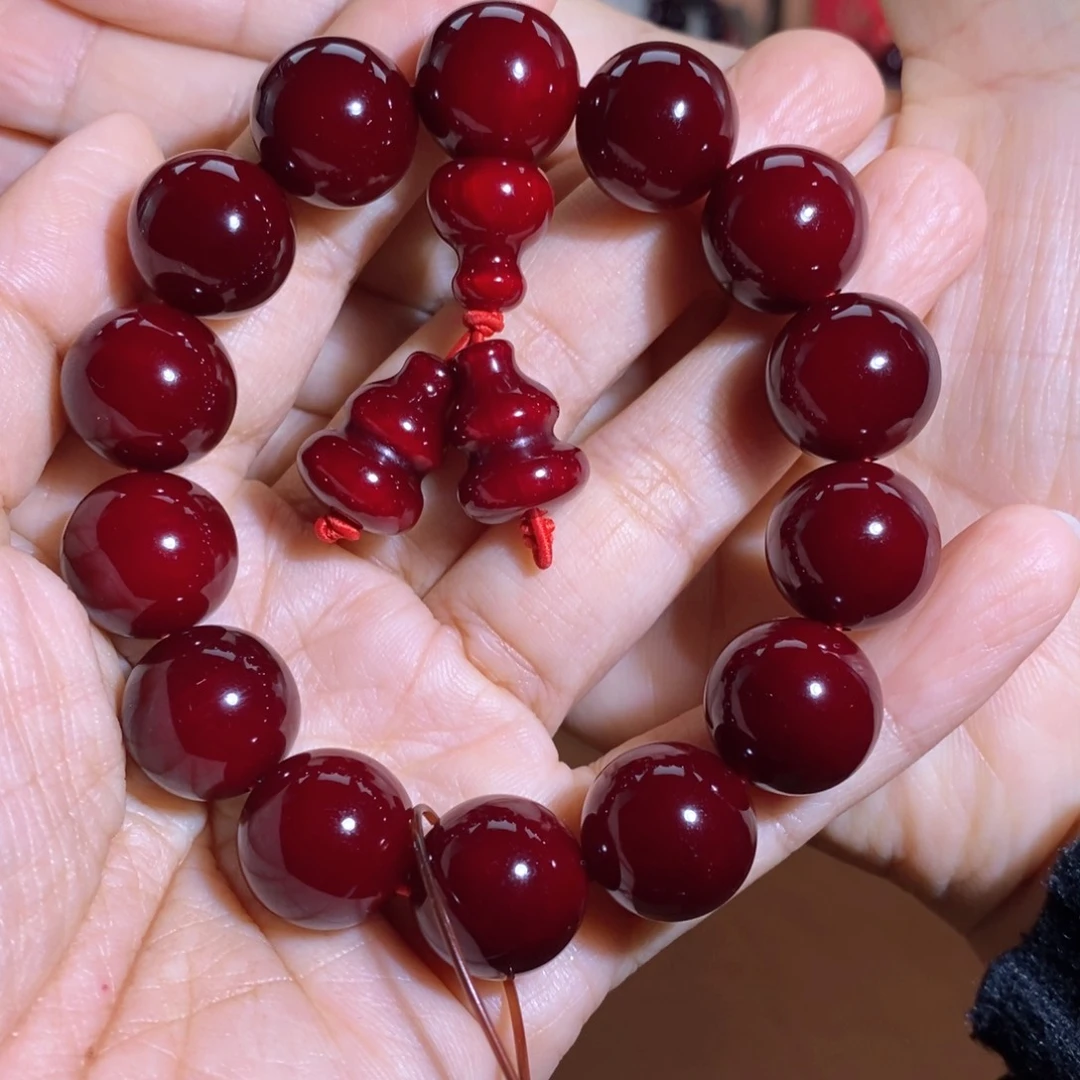 贝壳杉1.5冰料顶品帝王血龙木