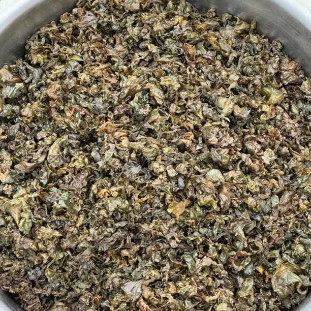 江西山货地皮菇 草皮菜 新鲜地菇雷菇（鄱阳小米豆