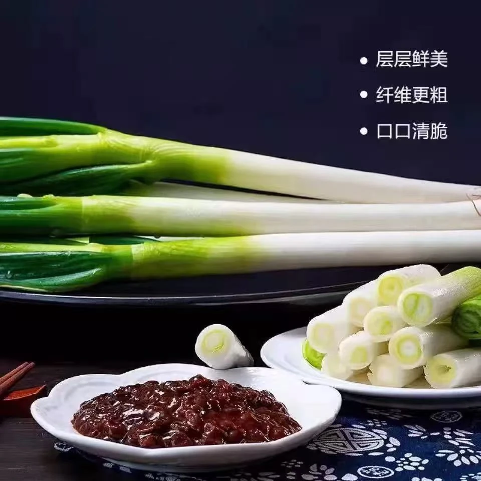 专属新品山东大葱现拔现发坚挺笔直去半叶4.5斤