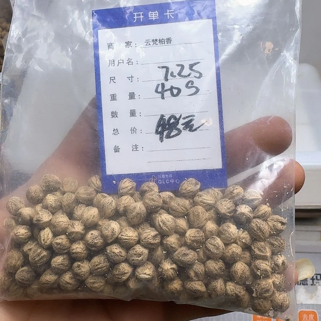 柏香籽/百香籽吊坠胖*