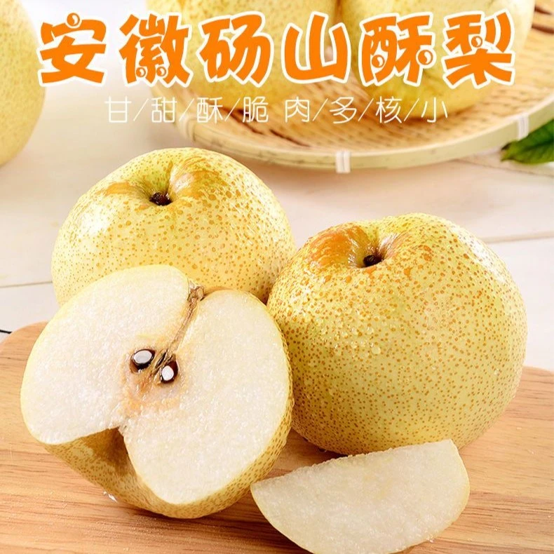 正宗砀山酥梨现摘现发脆甜爆汁皮薄多汁新鲜水果砀山梨安徽梨子
