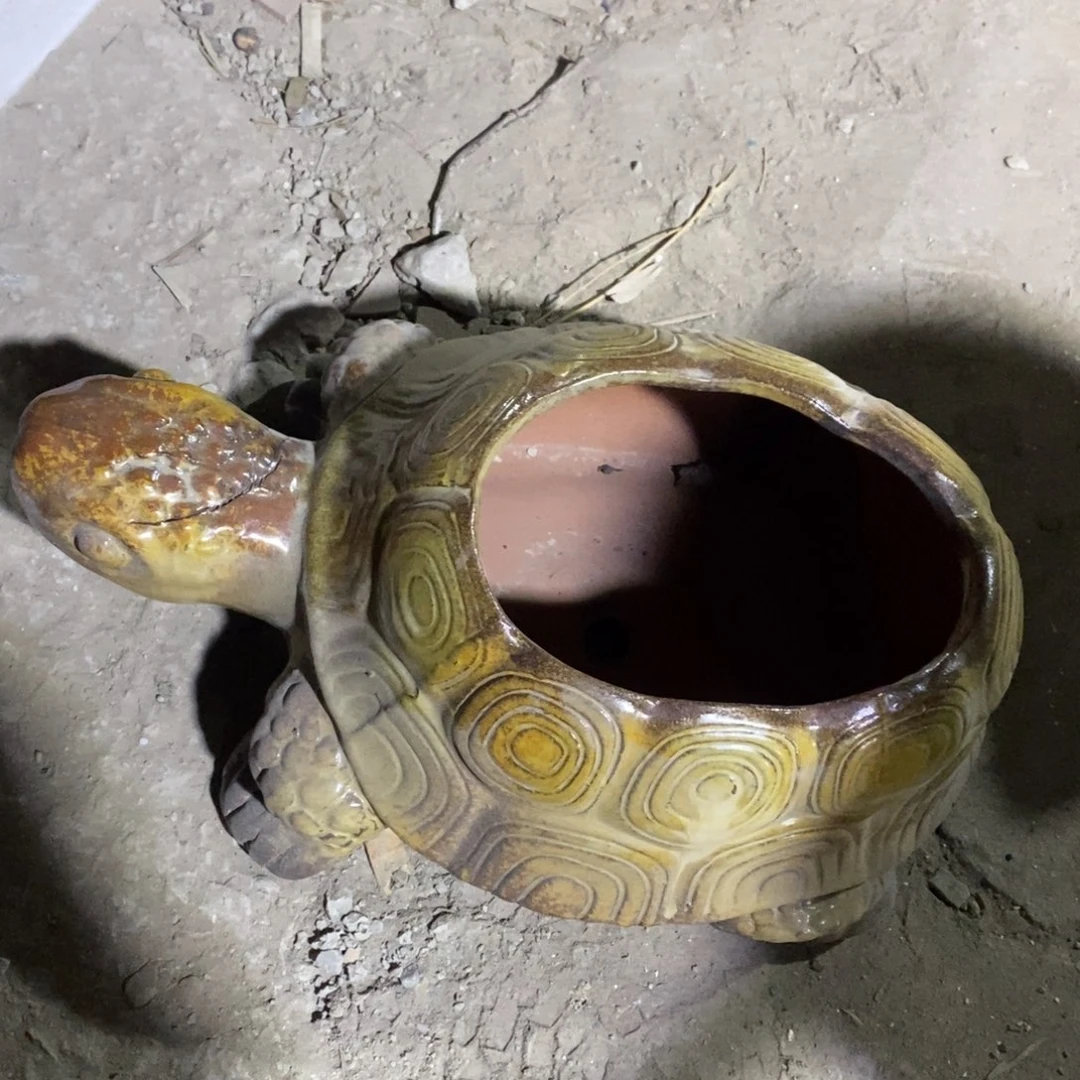 红陶瑕疵g g j b v