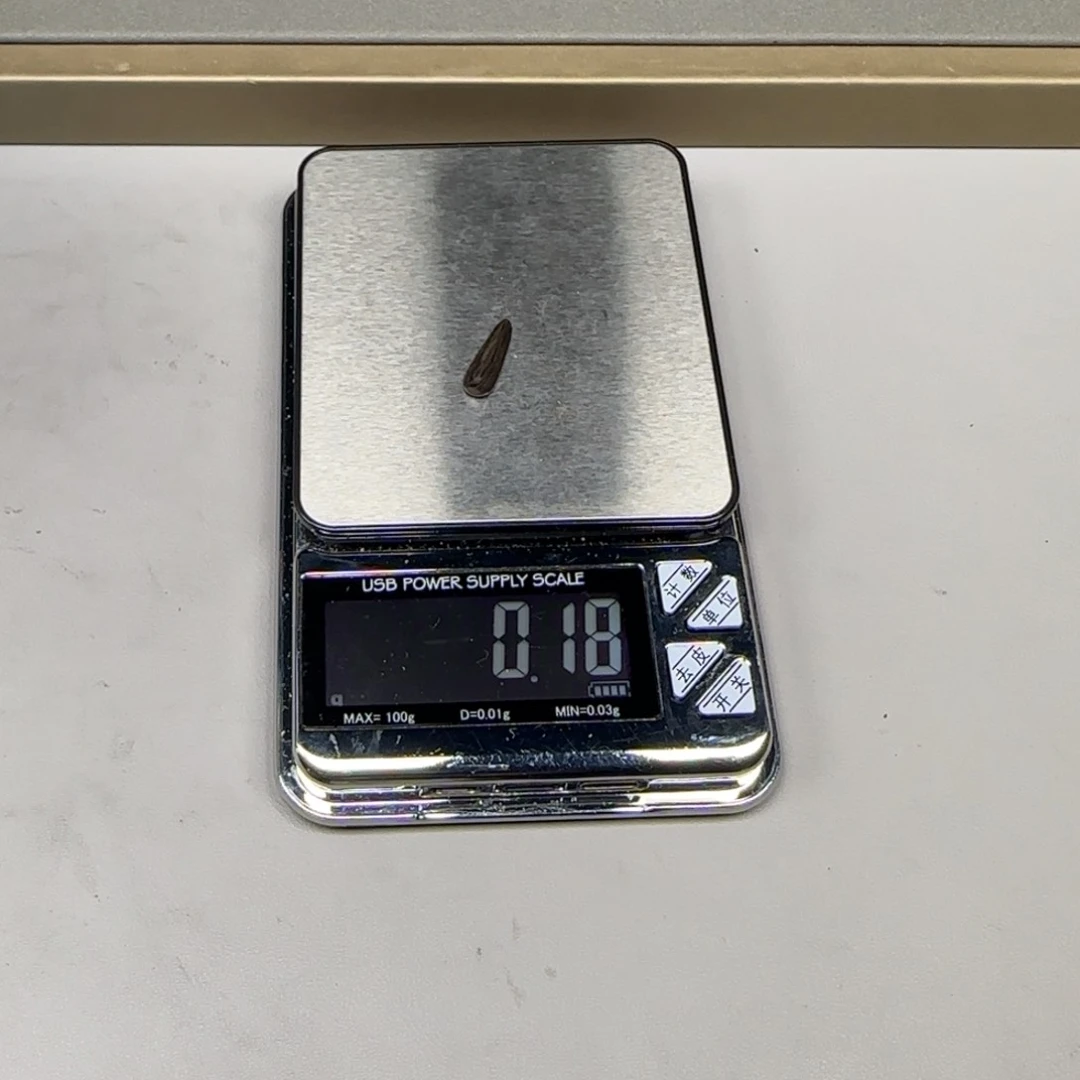 文莱文莱文莱文莱