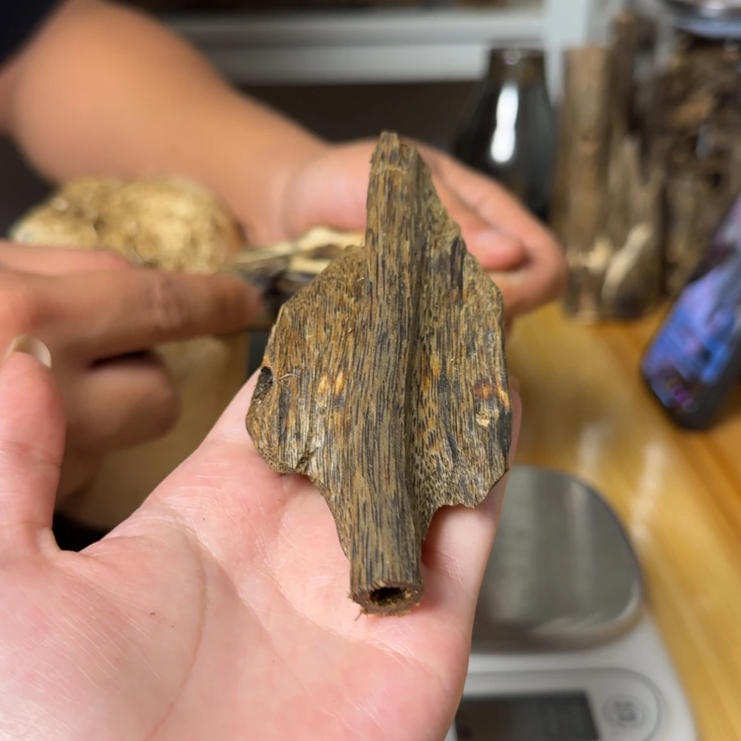 沉香陆河虫漏香20克