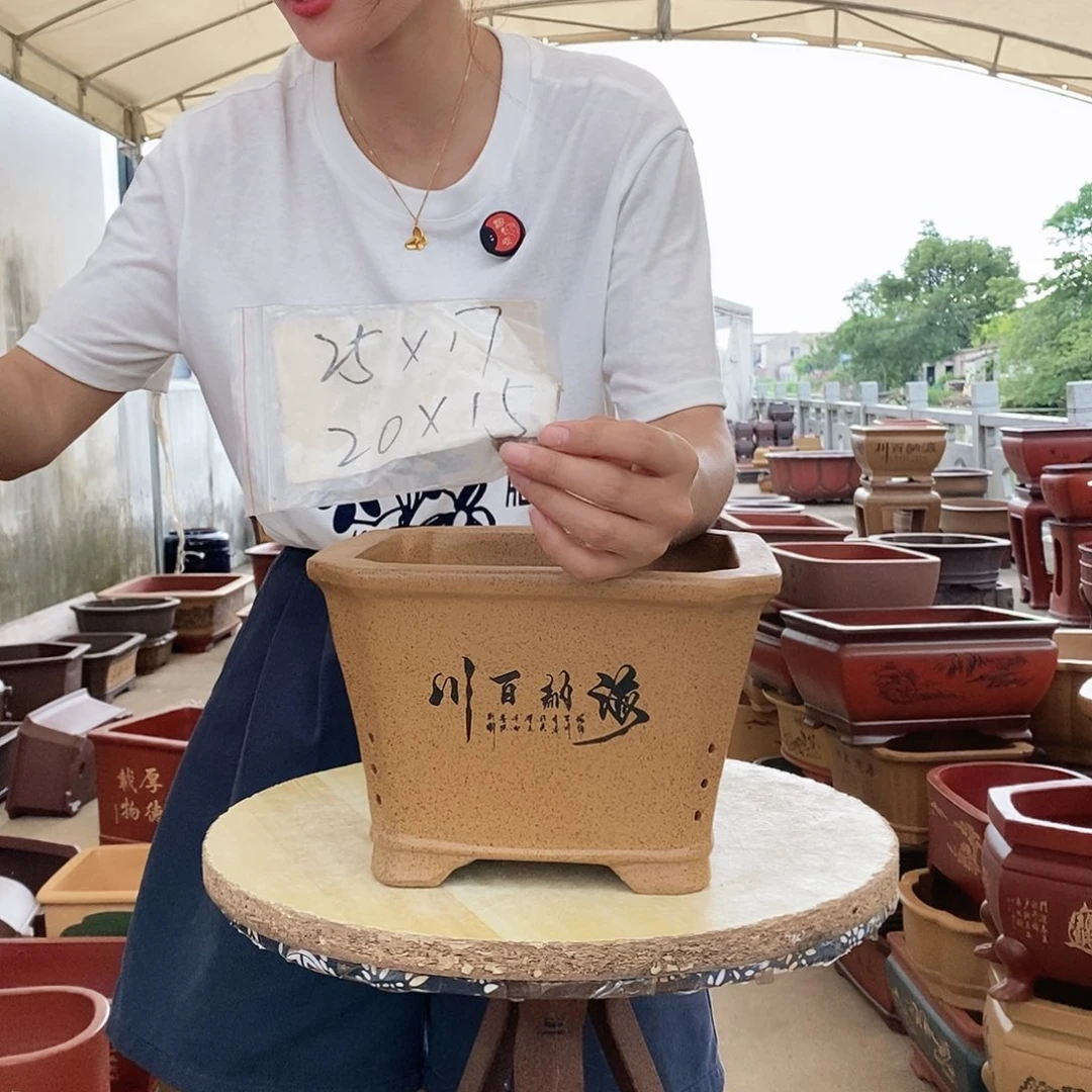 紫砂花盆紫砂花盆