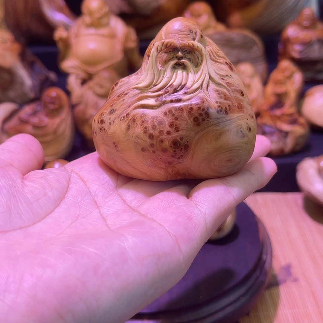 柏木8888888888888888888