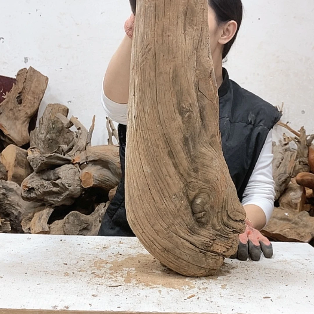 【闪购商品】柏木东*我们都是好孩子