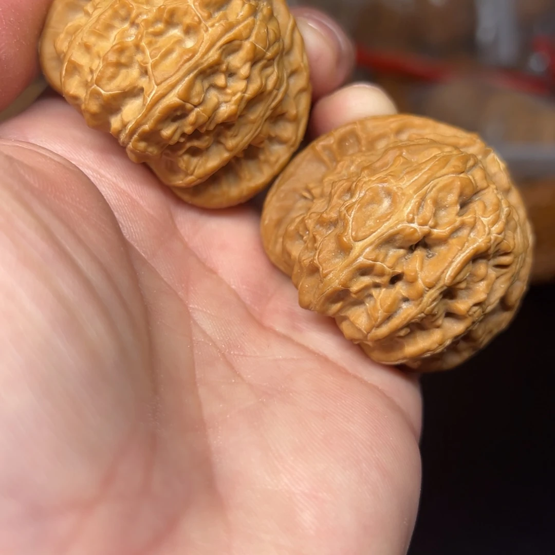 文玩核桃白狮子尺寸随机