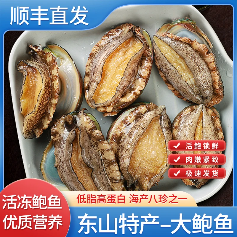 蝶岛海歌东山岛5-6头鲍约7-7.5cm海鲜水产速冻锁鲜鲍鱼冷链鲜嫩