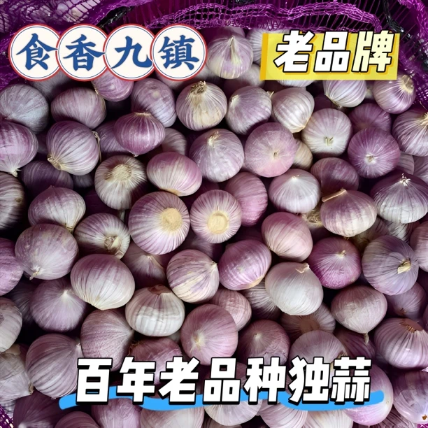 5斤（买三斤送二斤）云南紫皮独头蒜干大蒜当季农家土蒜做批发价卖