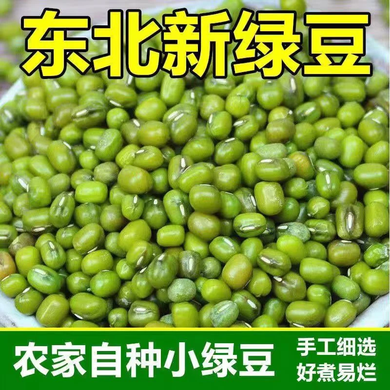 东北绿豆新鲜可发芽，可煮粥！