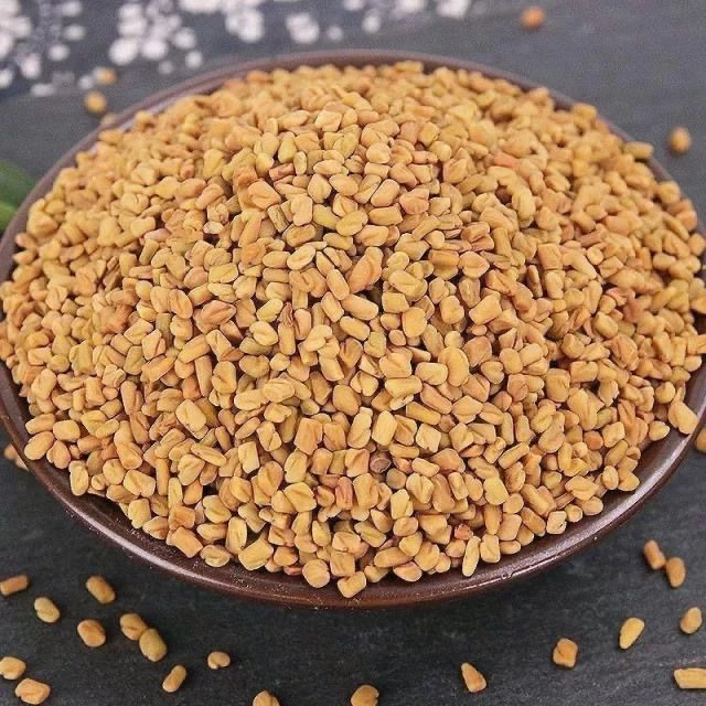 【天王丹】云大山采挖晒干足干