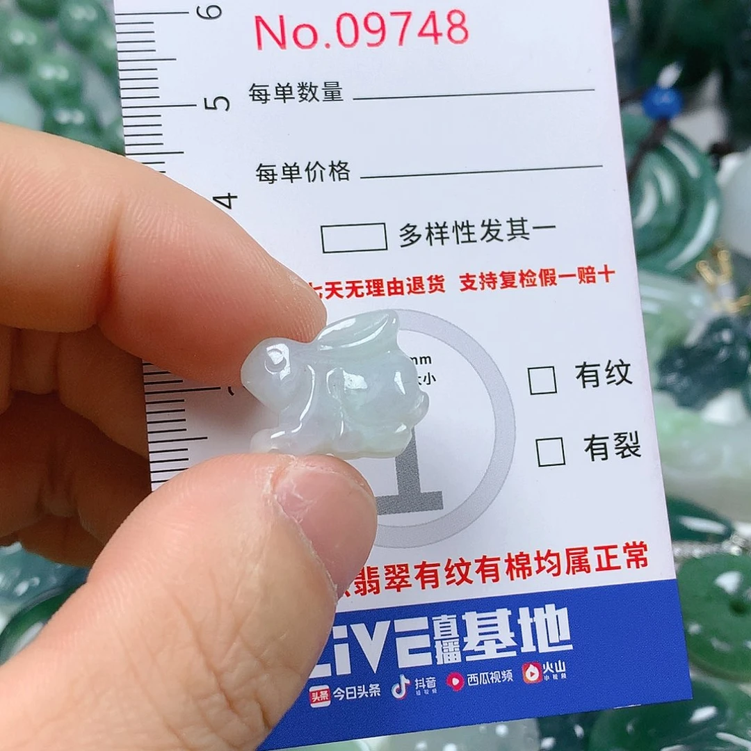 翡翠颈饰未镶嵌天然翡翠