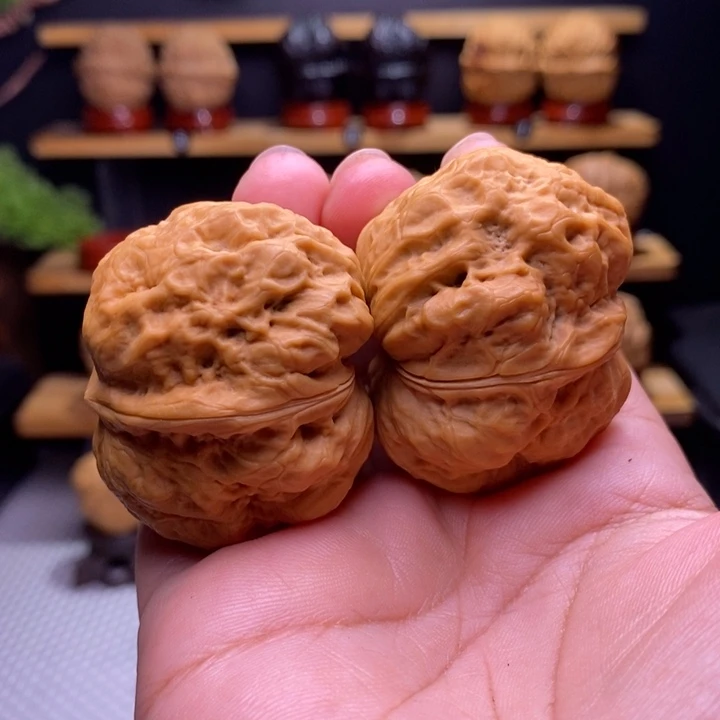 木质类云铁佛陀蟾42号