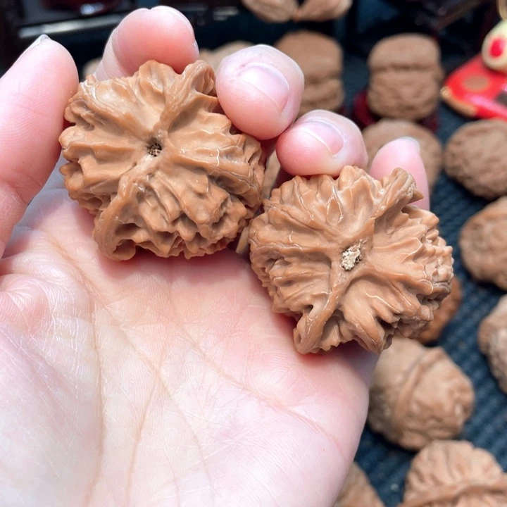 苹果园4.1全品无修，