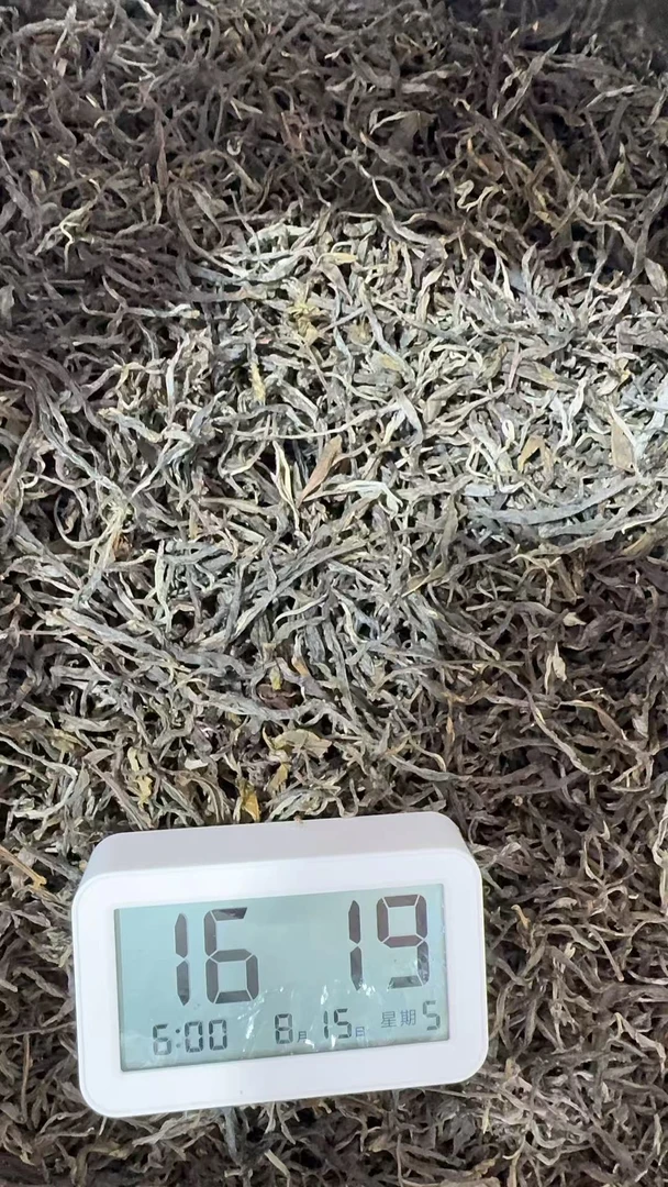 老吴严选-【535】2025年（春）凤庆单株普洱生茶散茶 8-15