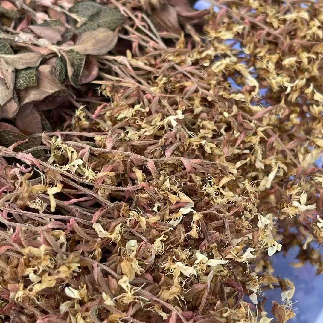 佛冈时时好运农产品种植整株开花金线莲250克干品
